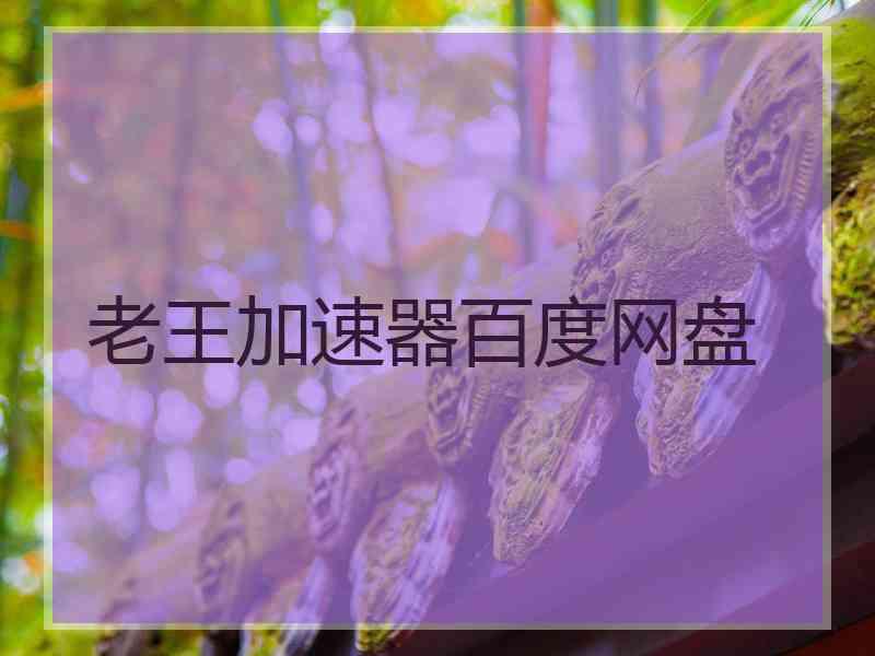 老王加速器百度网盘