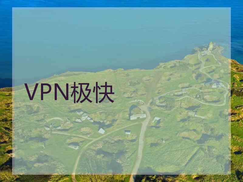 VPN极快