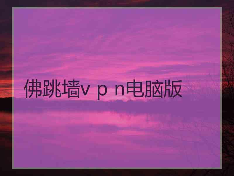 佛跳墙v p n电脑版