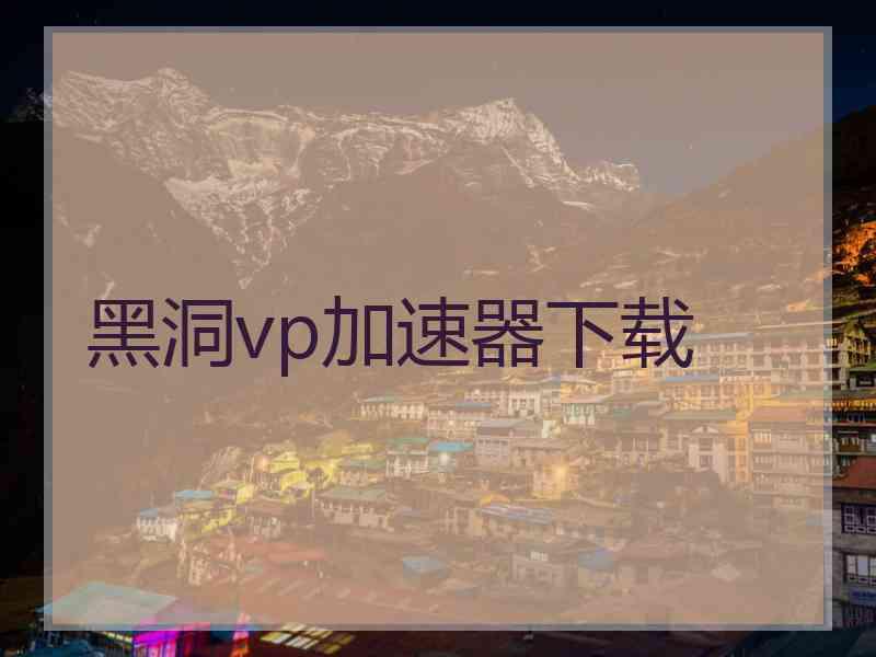 黑洞vp加速器下载