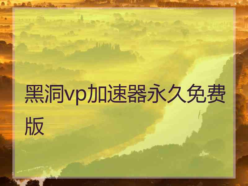 黑洞vp加速器永久免费版