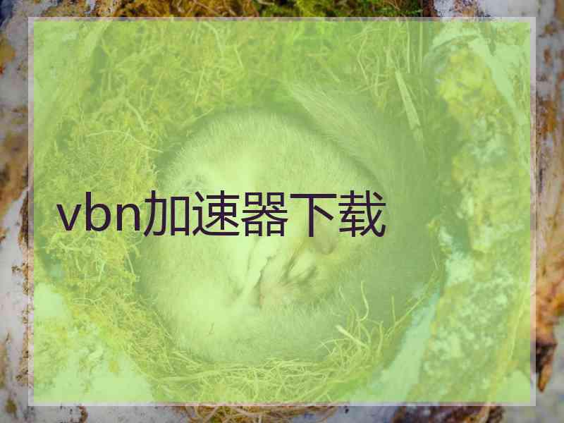 vbn加速器下载