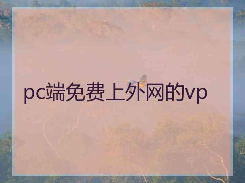 pc端免费上外网的vp