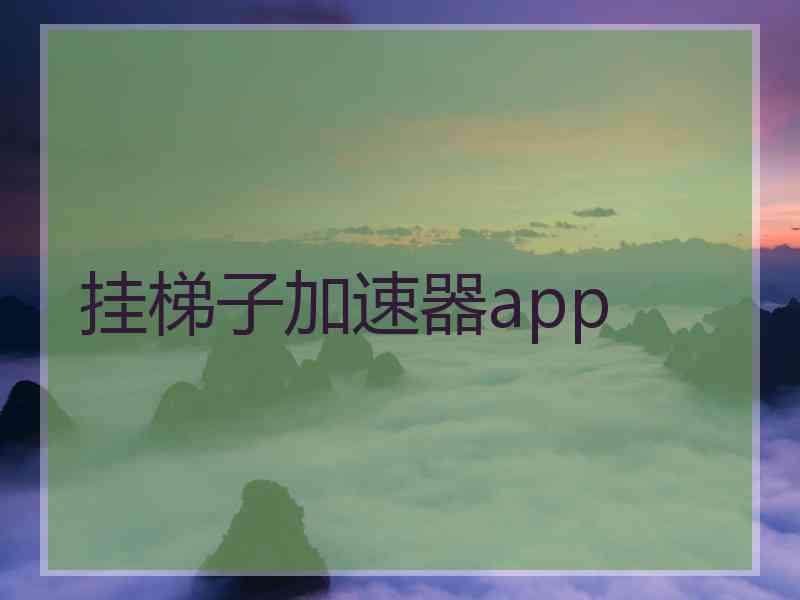 挂梯子加速器app