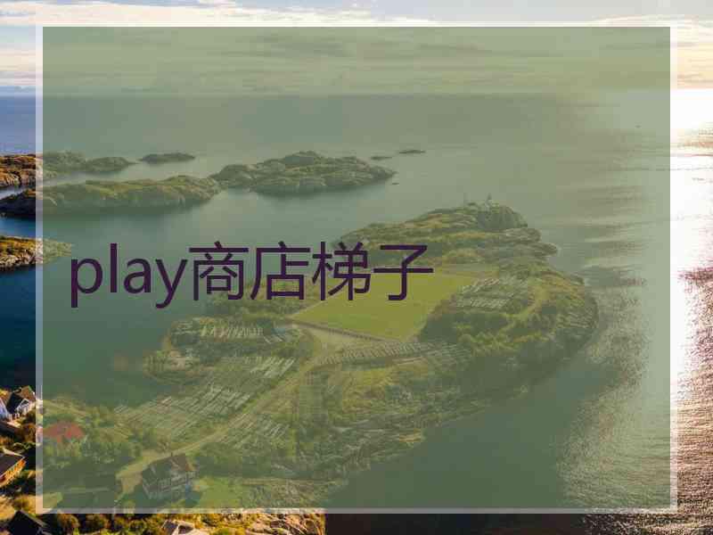 play商店梯子