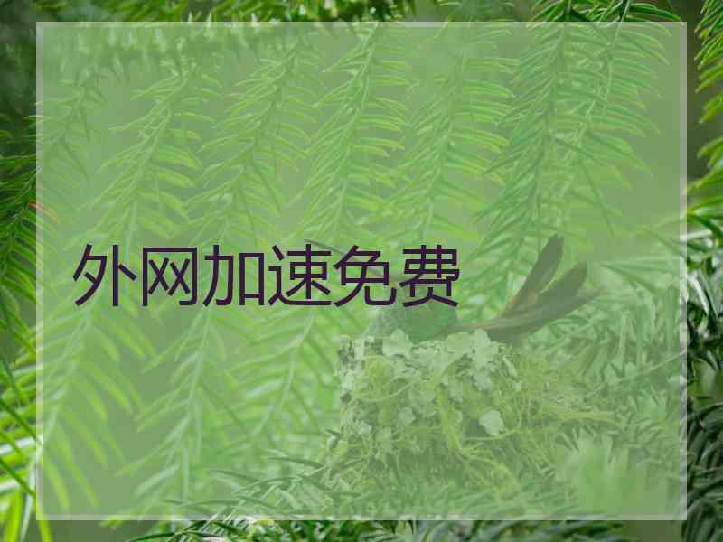 外网加速免费