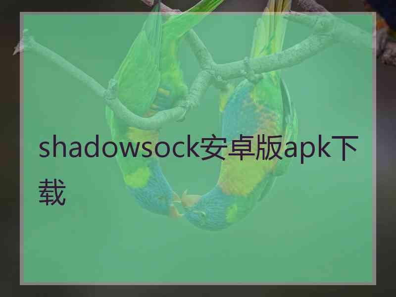 shadowsock安卓版apk下载